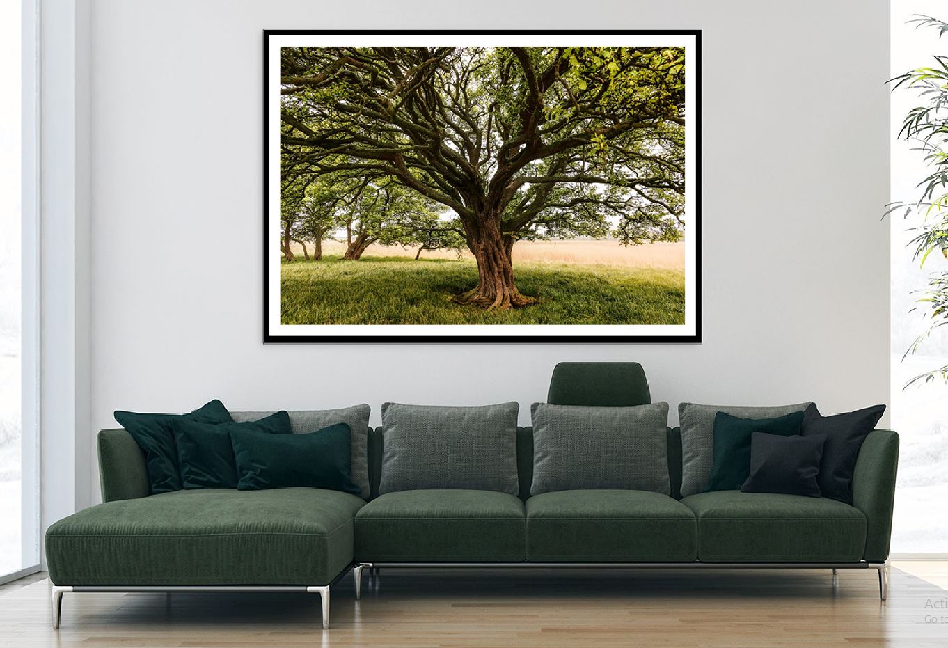 Tree with Huge Trunk & Branches View Photograph Home Decor Premium Quality Poster Print Choose Your Sizes