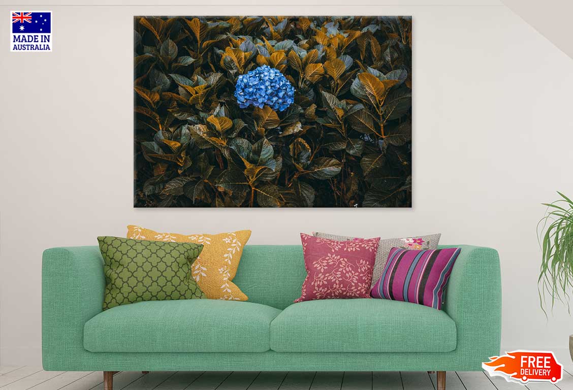 Blue Flowers with Plants View Photograph Print 100% Australian Made