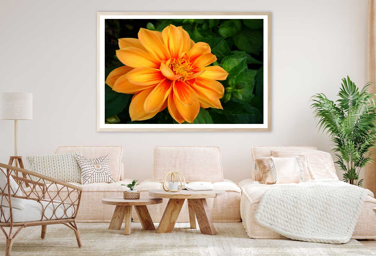 Orange Dahlia Flower Closeup View Photograph Home Decor Premium Quality Poster Print Choose Your Sizes