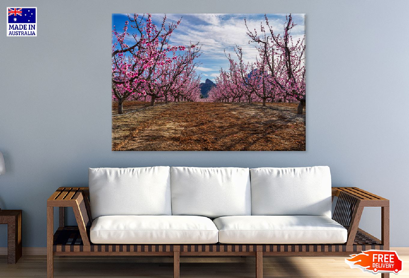 Cherry Blossom Trees Pathway View Photograph Print 100% Australian Made