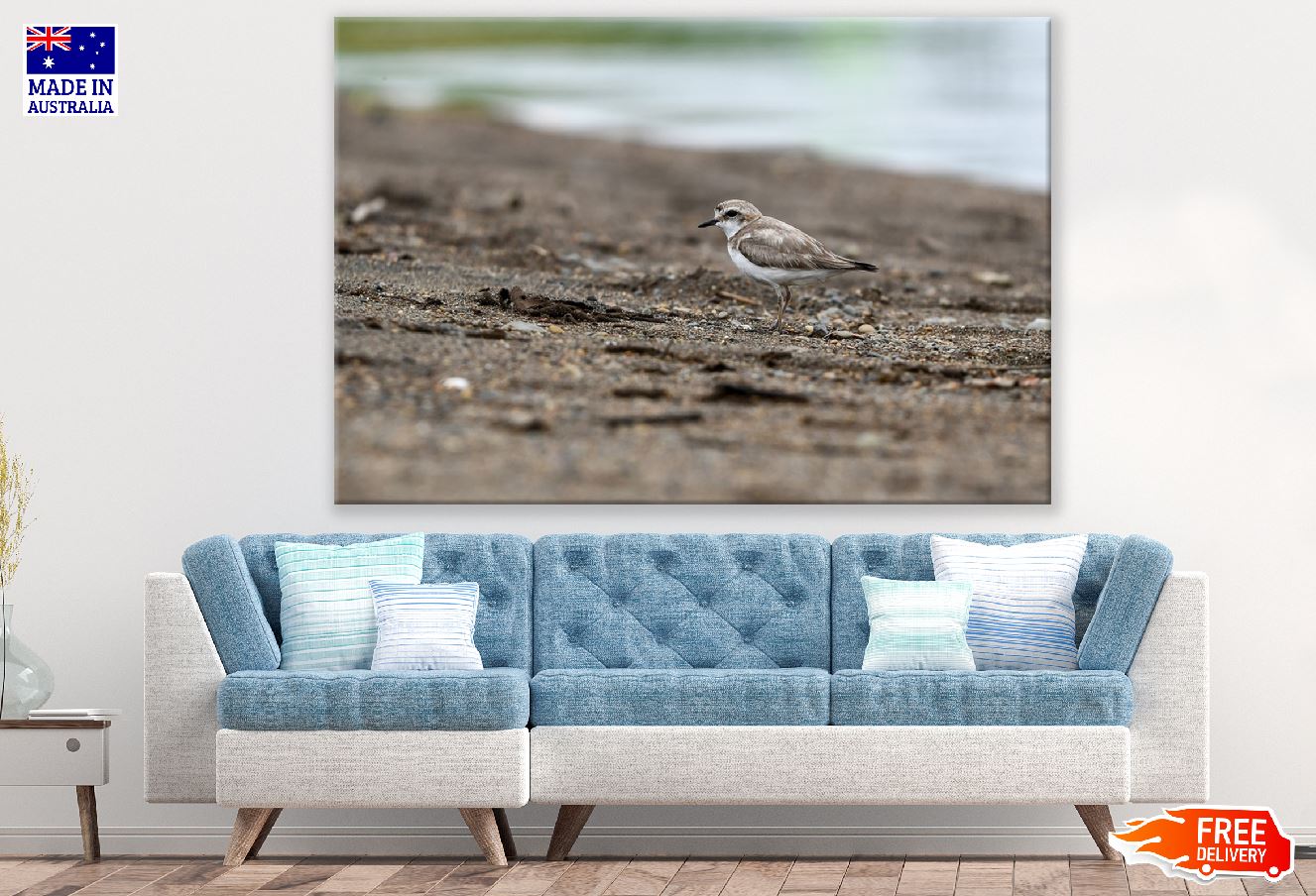 Seabird Closeup Photograph Print 100% Australian Made