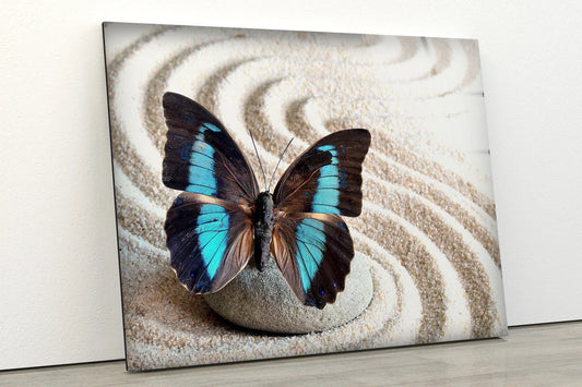 Butterfly on Sand Art Photograph Acrylic Glass Print Tempered Glass Wall Art 100% Made in Australia Ready to Hang