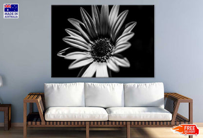 Sunflower Closeup B&W Photograph Print 100% Australian Made