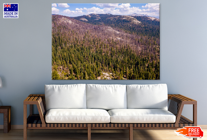 Trees & Rock Mountain View Photograph Print 100% Australian Made