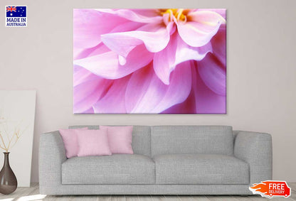 Pink Petals Flower Macro View Photograph Print 100% Australian Made