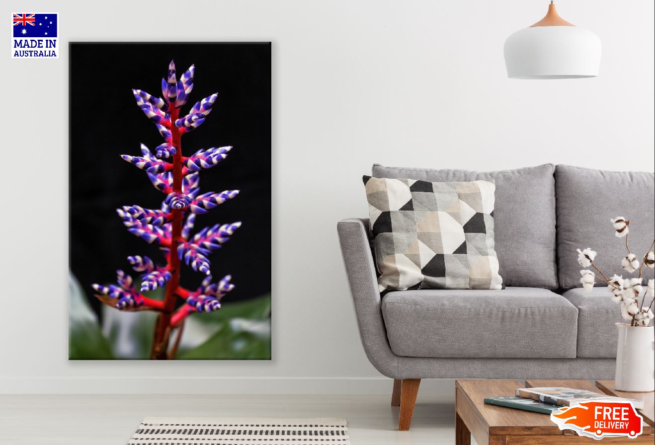 Aechmea Blue Tango Flower Photograph Print 100% Australian Made