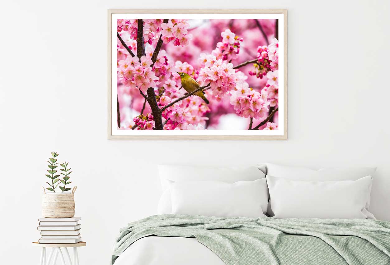 Bird on Pink Blossom Flowers Tree Photograph Home Decor Premium Quality Poster Print Choose Your Sizes