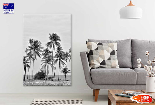 Coconut Palm Trees near Sea B&W Photograph Print 100% Australian Made