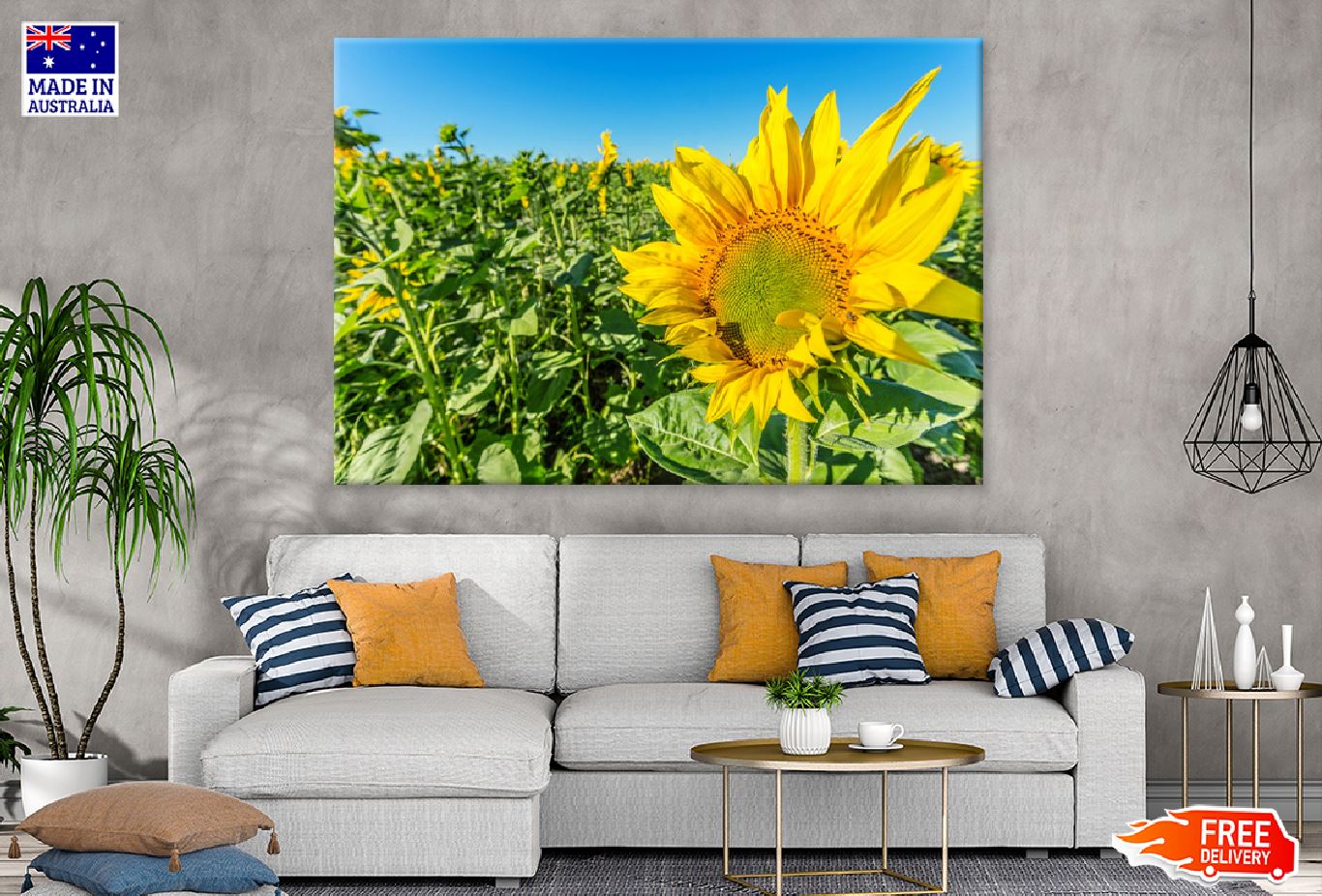 Sunflower Field View with Closeup View Photograph Print 100% Australian Made