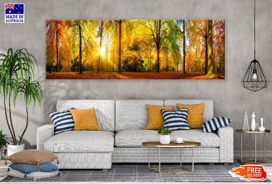 Panoramic Canvas Sunny Autumn Trees View Photograph High Quality 100% Australian Made Wall Canvas Print Ready to Hang