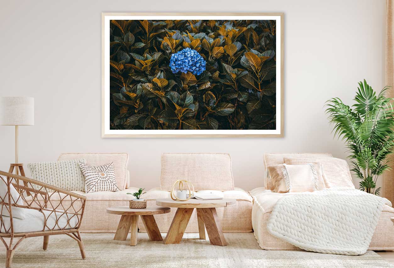 Blue Flowers with Plants View Photograph Home Decor Premium Quality Poster Print Choose Your Sizes