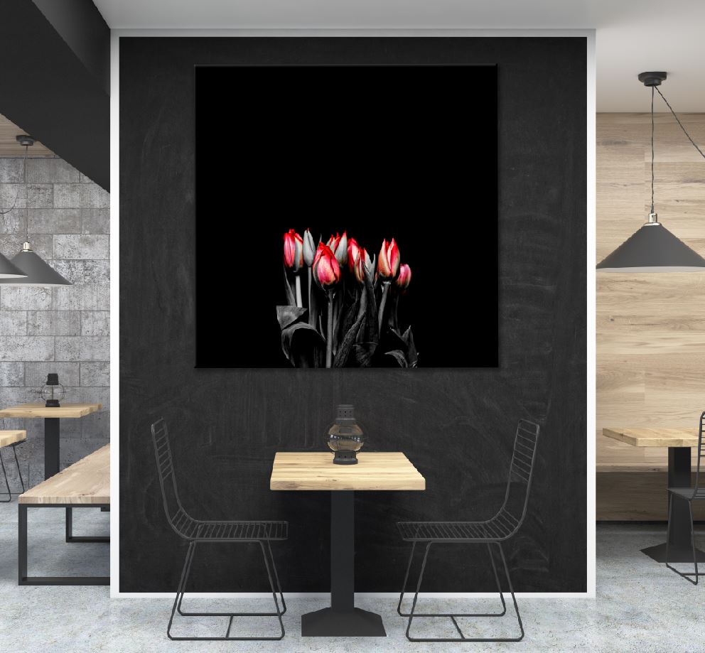 Square Canvas Red Tulips Flowers Dark View High Quality Print 100% Australian Made