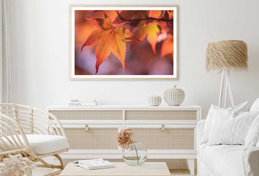 Maple Leaves Closeup Photograph Home Decor Premium Quality Poster Print Choose Your Sizes