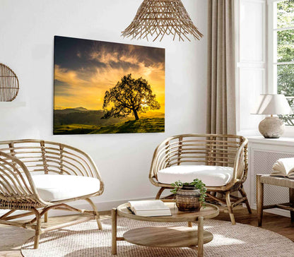 Bella Home Sunset Through an Oak Tree View Print Canvas Ready to hang