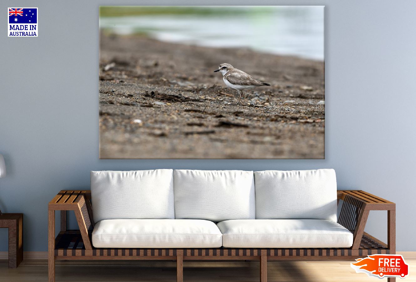 Seabird Closeup Photograph Print 100% Australian Made