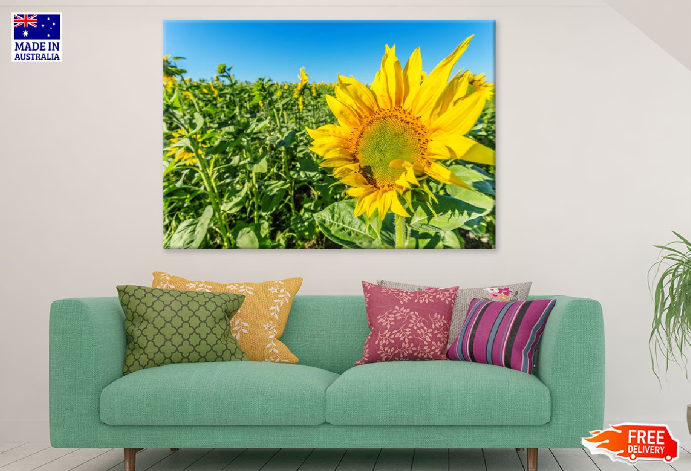 Sunflower Field View with Closeup View Photograph Print 100% Australian Made