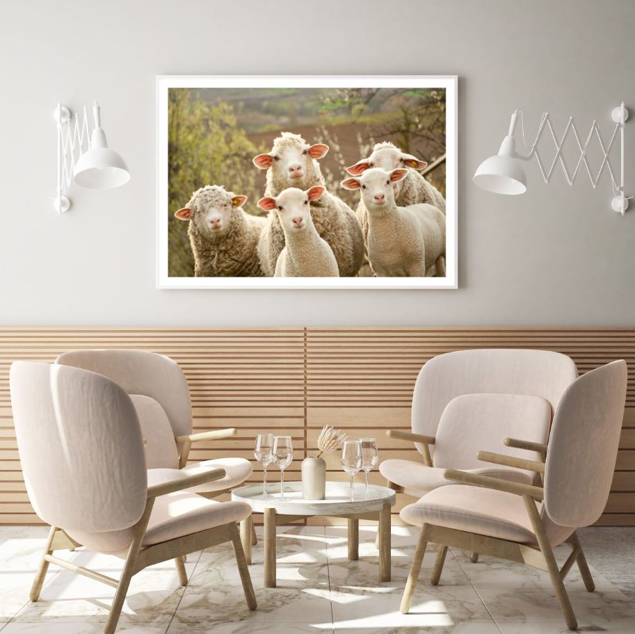 Sheep Herd Portrait Photograph Home Decor Premium Quality Poster Print Choose Your Sizes