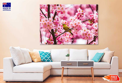 Bird on Pink Blossom Flowers Tree Photograph Print 100% Australian Made