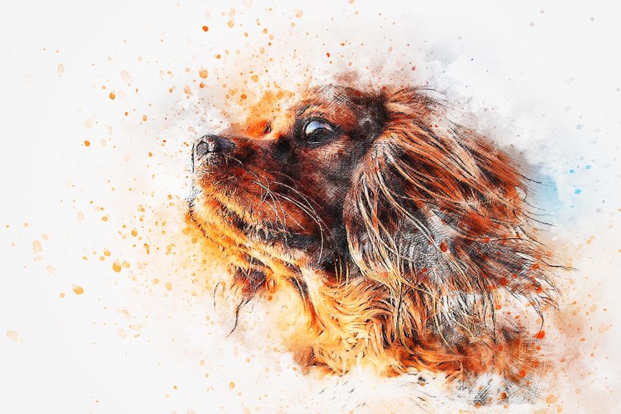 Dog Closeup Abstract Design Print 100% Australian Made