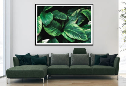 Deep Green Plant Leaves View Photograph Home Decor Premium Quality Poster Print Choose Your Sizes