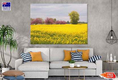 Apple Trees in Flower Field View Photograph Print 100% Australian Made