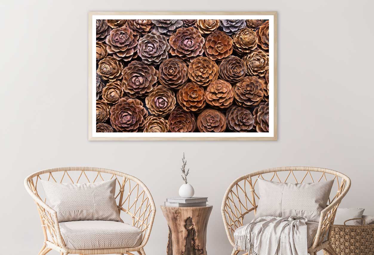 Larch Pine Cones Closeup View Photograph Home Decor Premium Quality Poster Print Choose Your Sizes