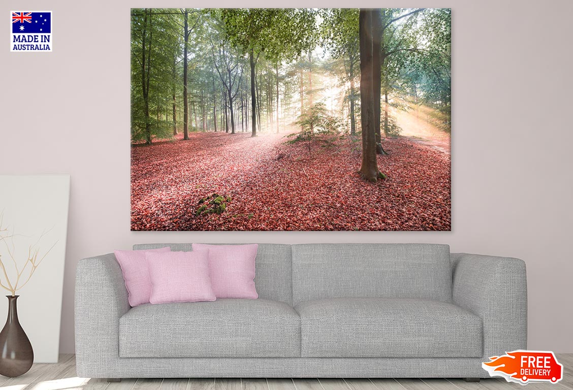 Autumn Leaves Filled Ground & Trees Photograph Print 100% Australian Made