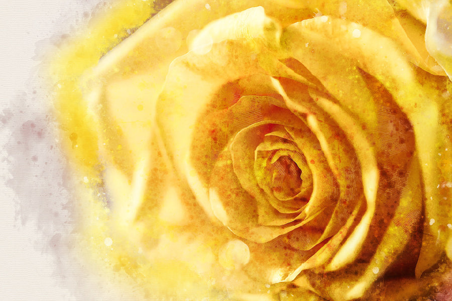 Yellow Rose Closeup Painting Print 100% Australian Made