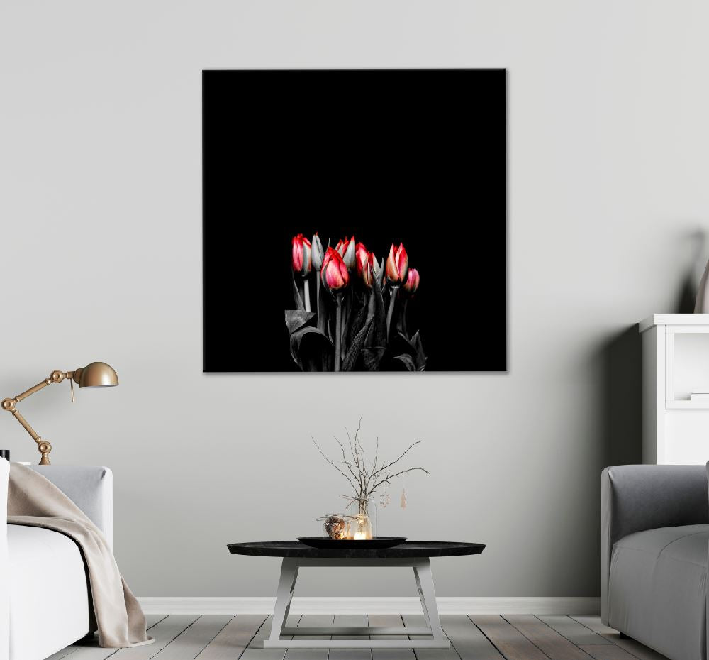 Square Canvas Red Tulips Flowers Dark View High Quality Print 100% Australian Made