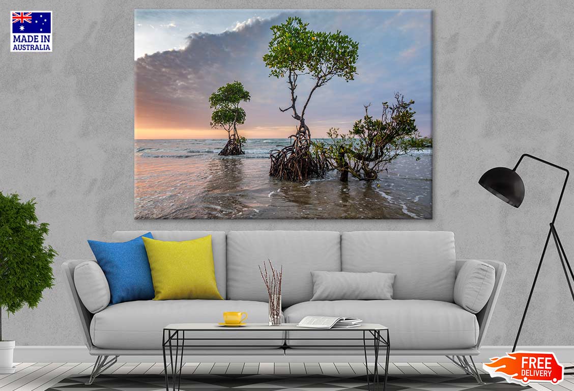 Trees in Sea Sunset Photograph Print 100% Australian Made