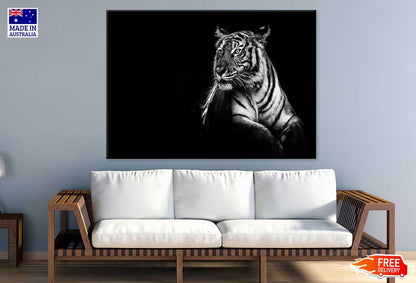 Tiger on Dark B&W Photograph Print 100% Australian Made