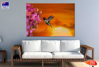Hummingbird & Flowers Photograph Print 100% Australian Made