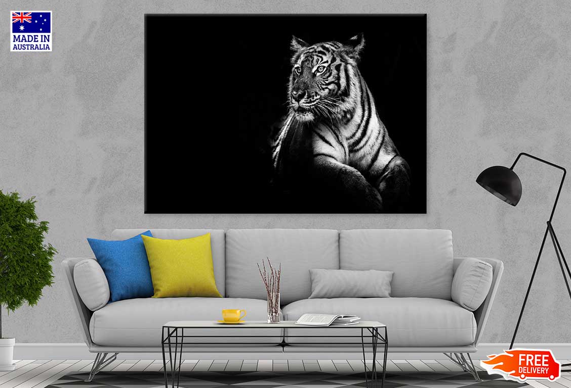 Tiger on Dark B&W Photograph Print 100% Australian Made