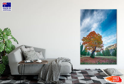 Red Orange Autumn Tree on Meadow Photograph Print 100% Australian Made