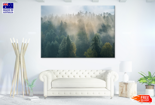 Misty Forest & Trees View Photograph Print 100% Australian Made