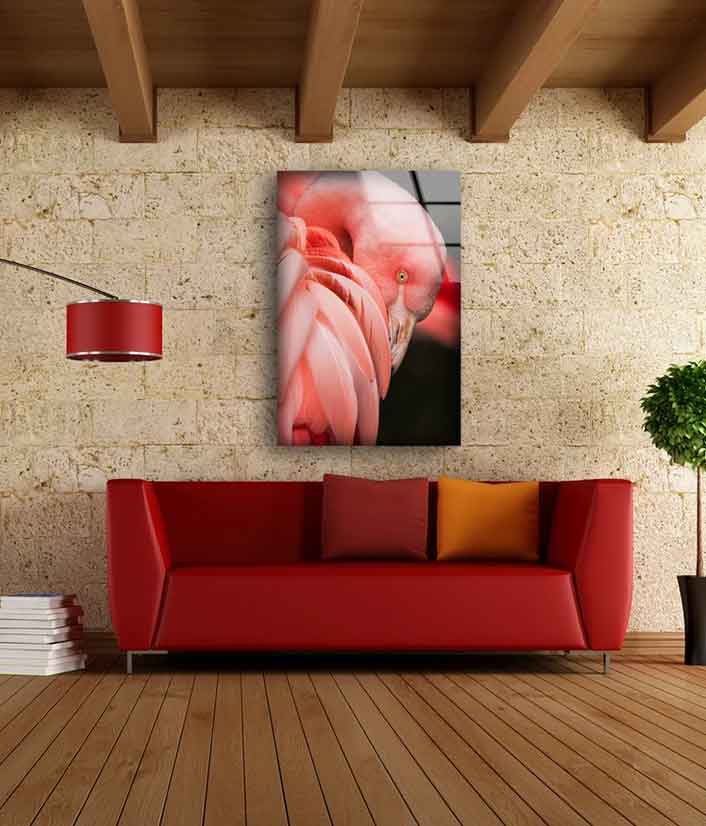 Flamingo Bird Closeup Photograph Acrylic Glass Print Tempered Glass Wall Art 100% Made in Australia Ready to Hang