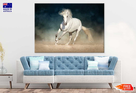 Running White Horse Photograph Print 100% Australian Made