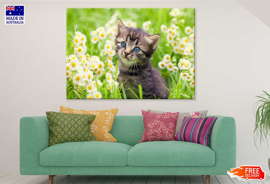 Little Kitten in Flowers View Photograph Print 100% Australian Made