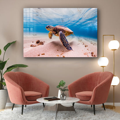 Sea Turtle View Ocean Print Tempered Glass Wall Art 100% Made in Australia Ready to Hang