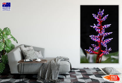 Aechmea Blue Tango Flower Photograph Print 100% Australian Made