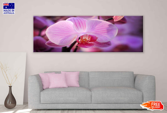 Panoramic Canvas Pink Orchid Flower View Photograph High Quality 100% Australian Made Wall Canvas Print Ready to Hang