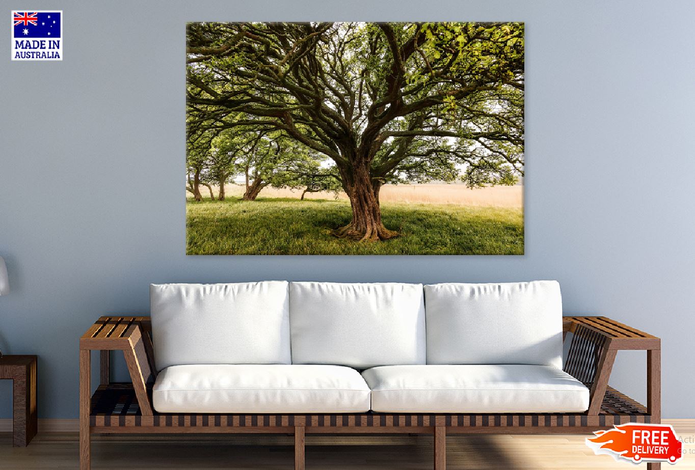 Tree with Huge Trunk & Branches Photograph Print 100% Australian Made