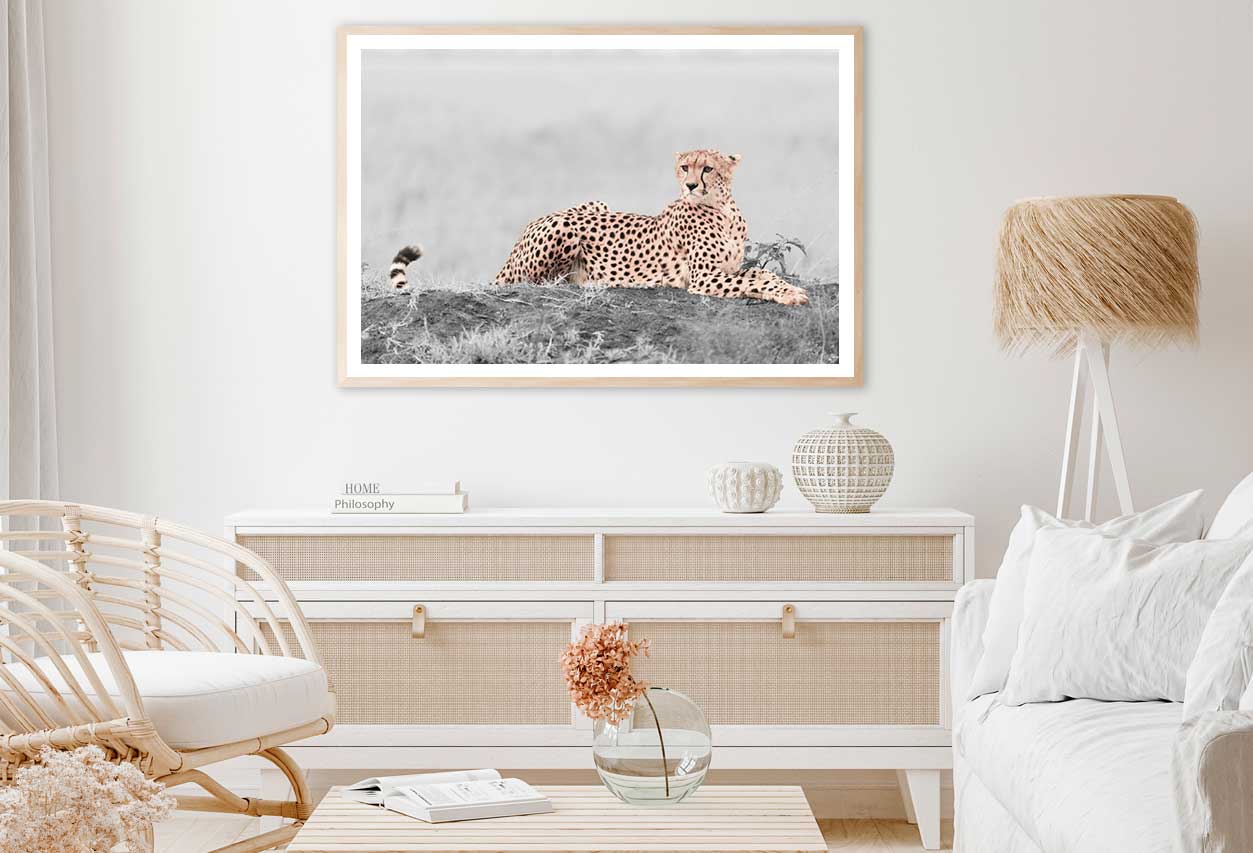 Leopard B&W Landscape View Photograph Home Decor Premium Quality Poster Print Choose Your Sizes