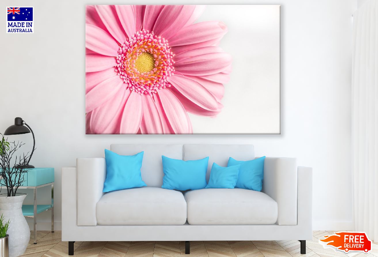 Pink Gerbera Flower Closeup Photograph Print 100% Australian Made