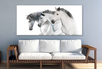 Three White Horses Running Print 100% Australian Made