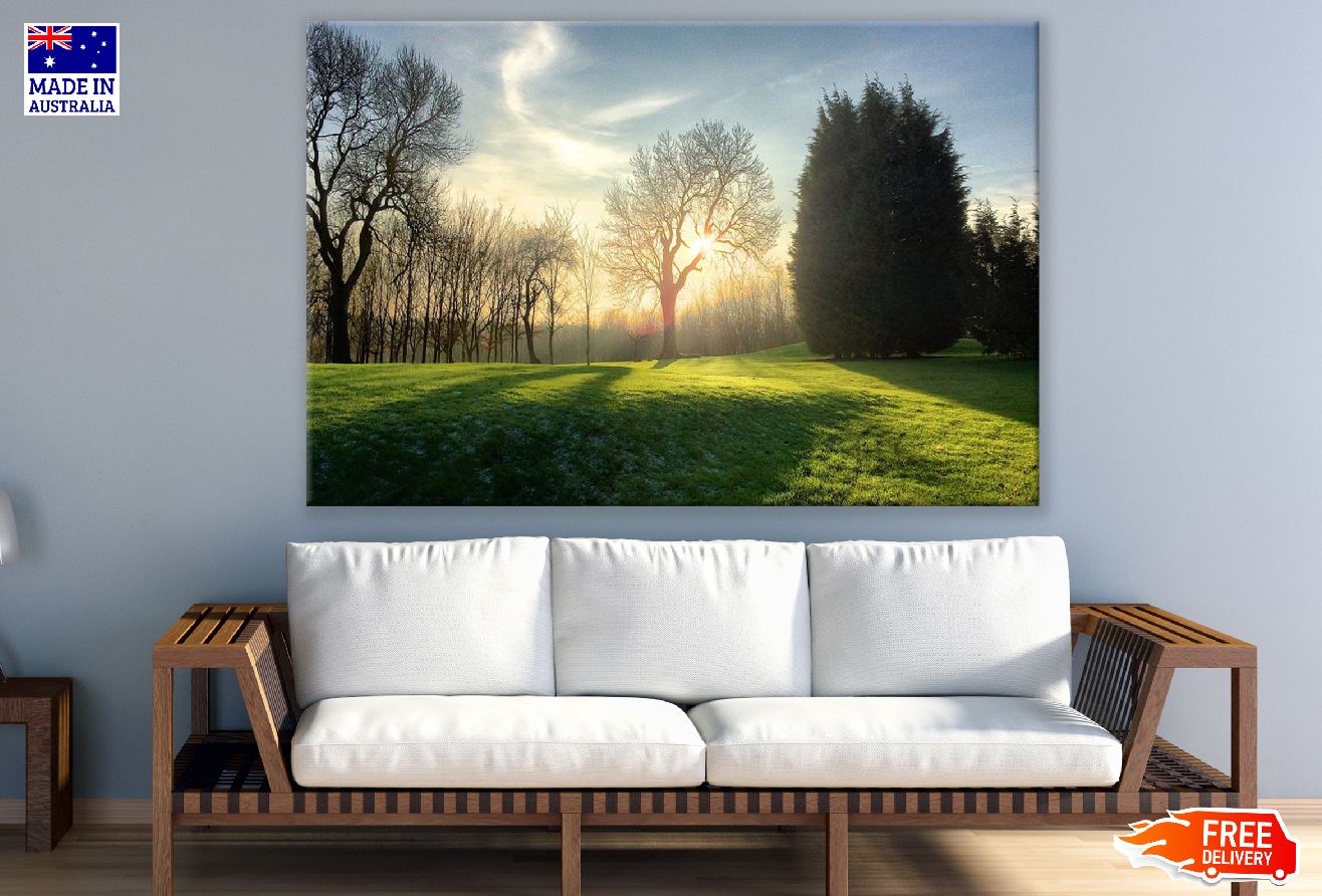 Dead Trees on Green Grass Sunset Photograph Print 100% Australian Made