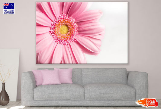 Pink Gerbera Flower Closeup Photograph Print 100% Australian Made