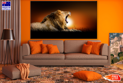 Yawning Lion in Sunset Background Print 100% Australian Made