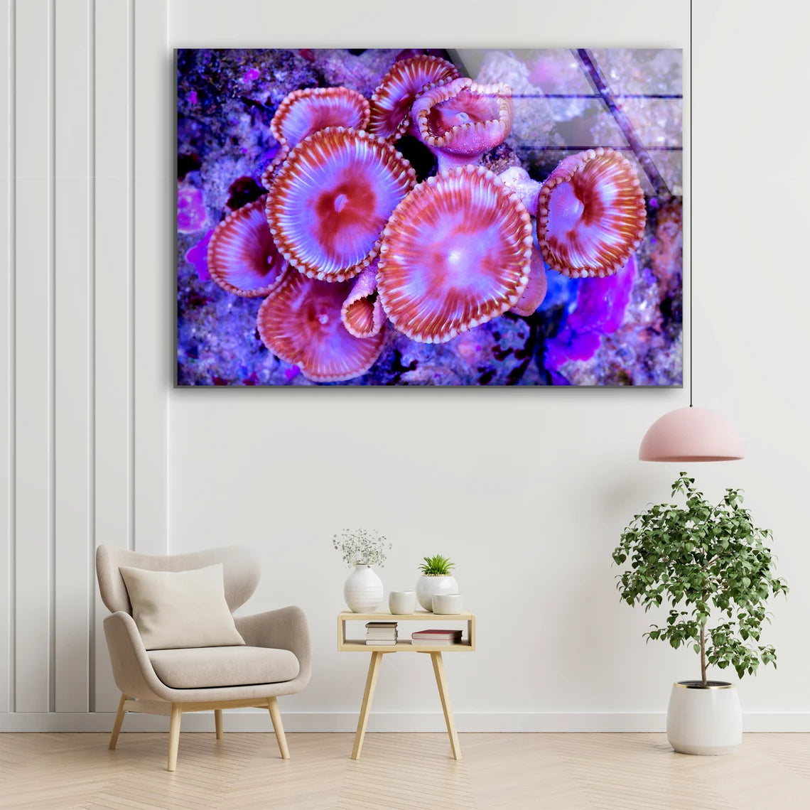 Sea Corals Closeup Photograph Acrylic Glass Print Tempered Glass Wall Art 100% Made in Australia Ready to Hang