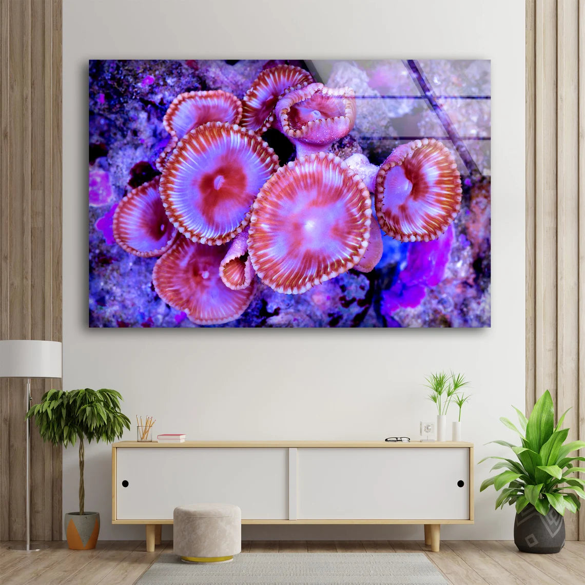 Sea Corals Closeup Photograph Acrylic Glass Print Tempered Glass Wall Art 100% Made in Australia Ready to Hang